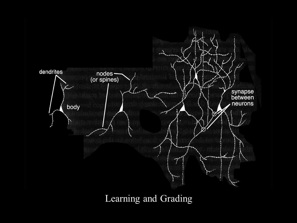 Learning and Grading