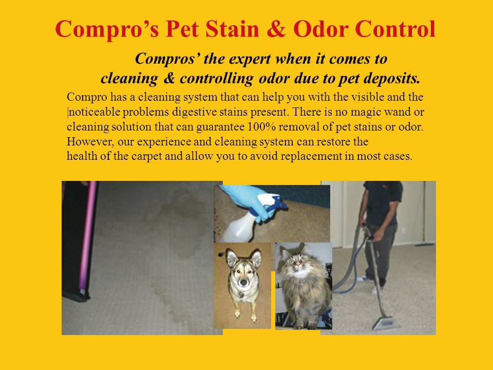 Compro has a cleaning system that can help you with the visible and the |noticeable problems digestive stains present.