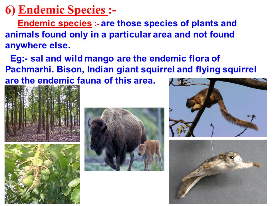 CHAPTER - 7 CONSERVATION OF PLANTS AND ANIMALS. 1) Deforestation :- The  clearing of forests and using the land for other purposes is called  deforestation. - ppt download
