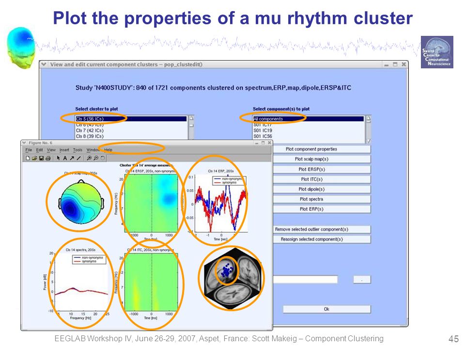 EEGLAB Workshop IV, June 26-29, 2007, Aspet, France: Scott Makeig – Component Clustering 45 Plot the properties of a mu rhythm cluster