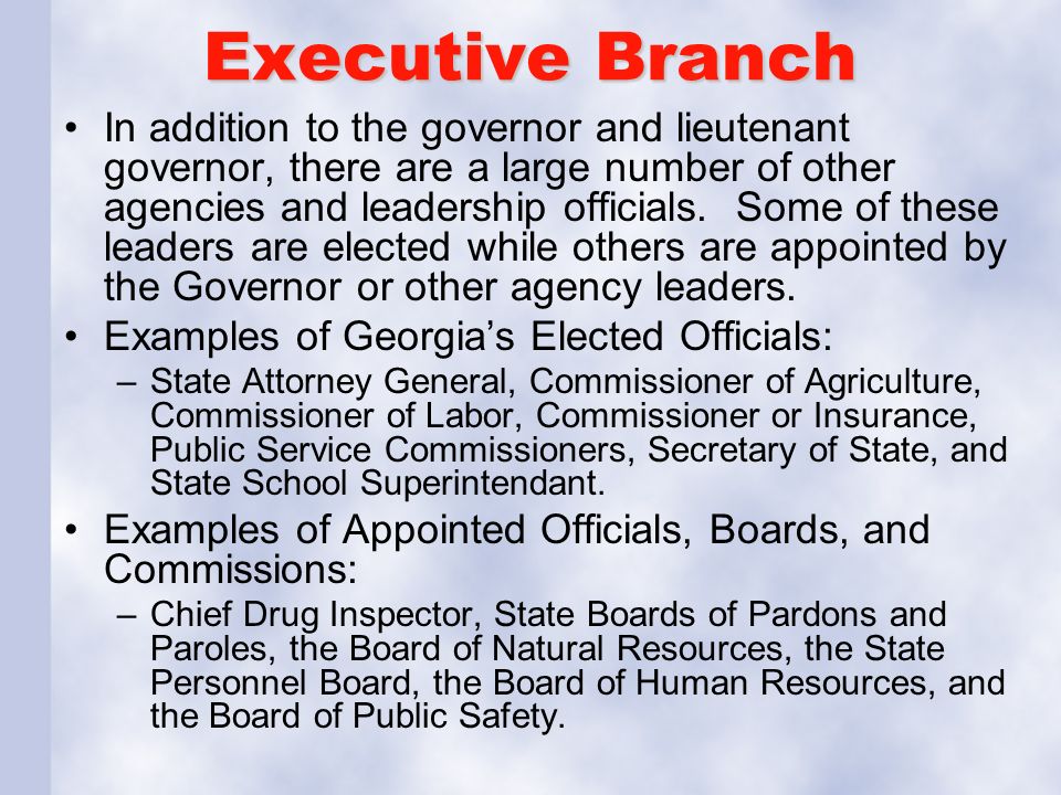 Executive Branch In addition to the governor and lieutenant governor, there are a large number of other agencies and leadership officials.
