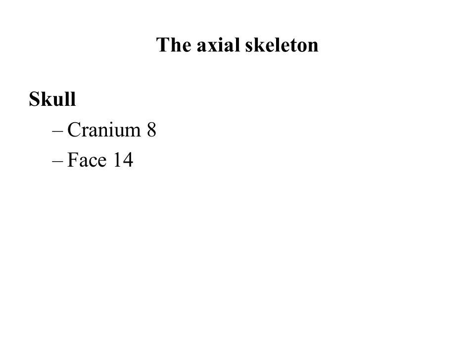 The axial skeleton Skull –Cranium 8 –Face 14