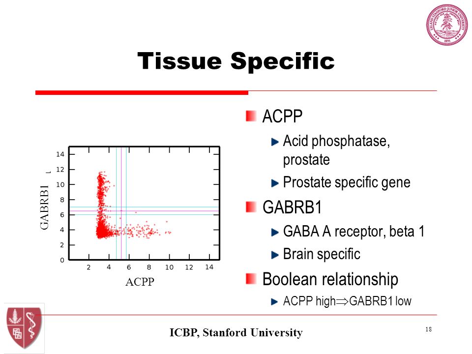 ICBP, Stanford University 18 Tissue Specific ACPP Acid phosphatase, prostate Prostate specific gene GABRB1 GABA A receptor, beta 1 Brain specific Boolean relationship ACPP high  GABRB1 low ACPP GABRB1