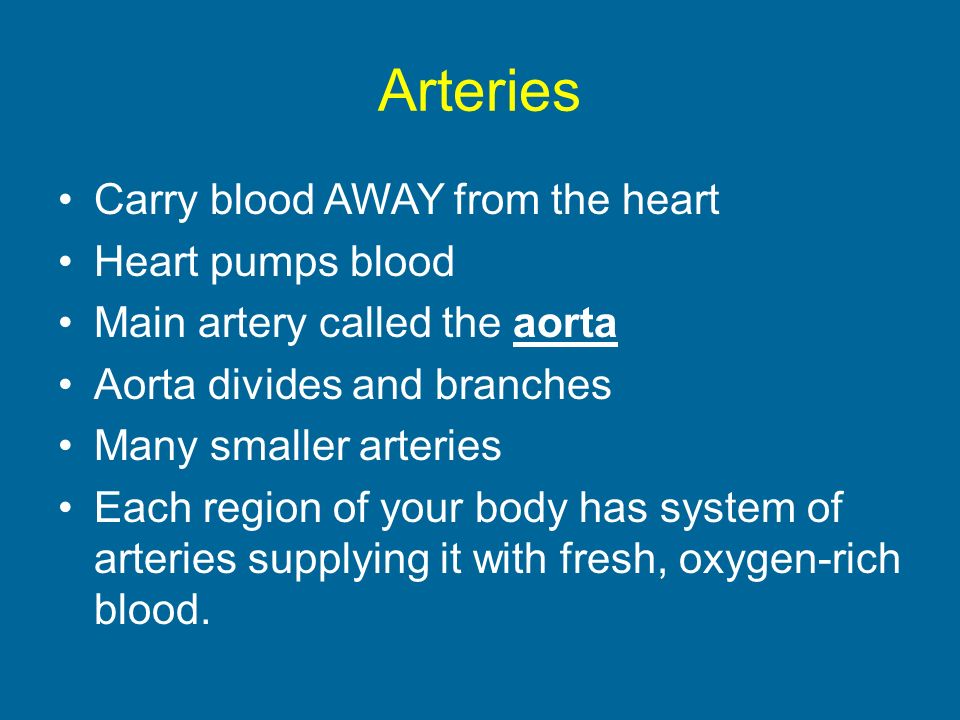Arteries Carry blood AWAY from the heart Heart pumps blood Main artery called the aorta Aorta divides and branches Many smaller arteries Each region of your body has system of arteries supplying it with fresh, oxygen-rich blood.