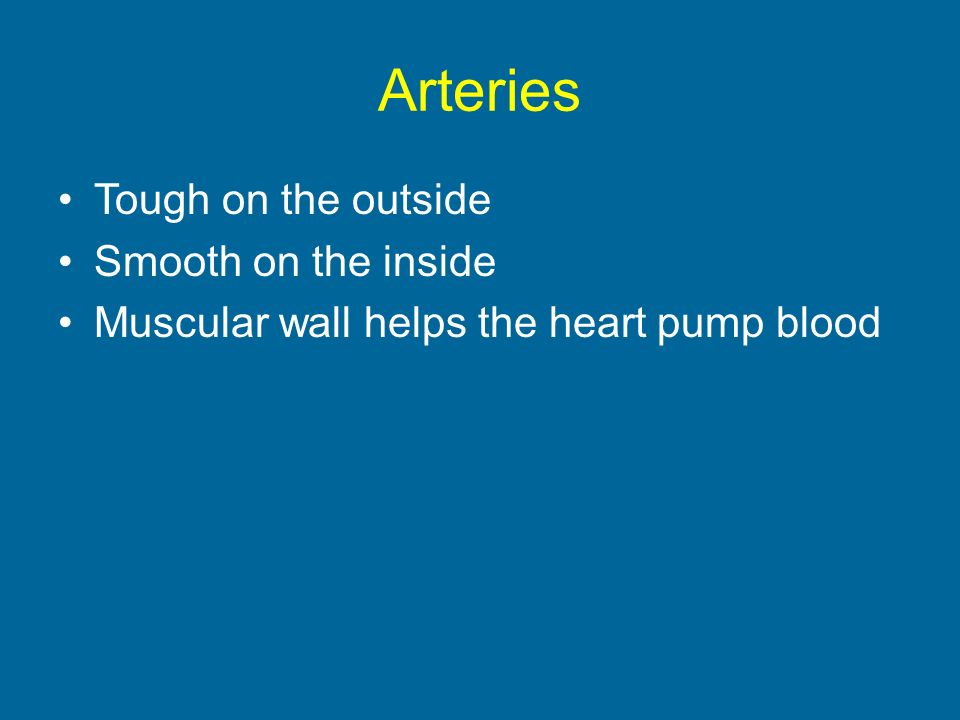 Arteries Tough on the outside Smooth on the inside Muscular wall helps the heart pump blood