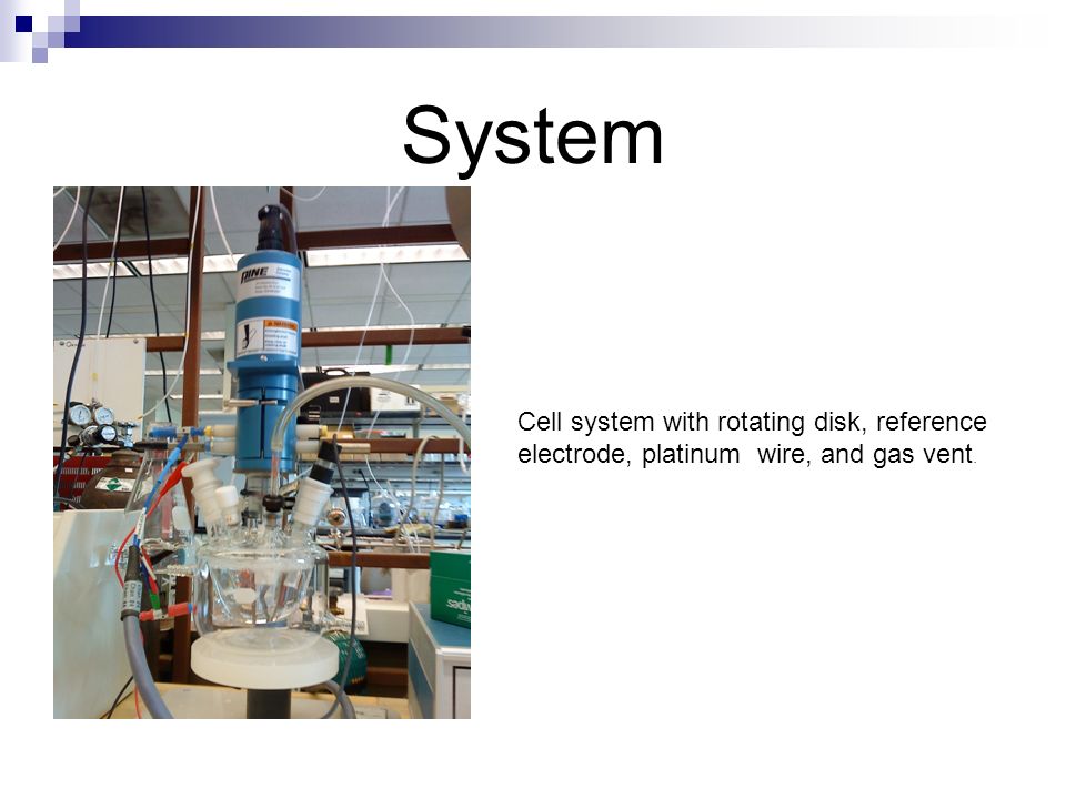 System Cell system with rotating disk, reference electrode, platinum wire, and gas vent.