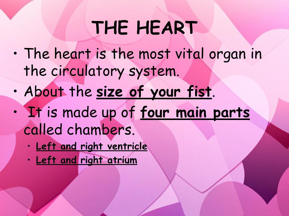 The Heart The Blood The Blood Vessels The Heart The Blood The Blood Vessels Major Components