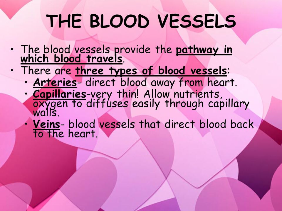 THE HEART THE HEART The heart is the most vital organ in the circulatory system.