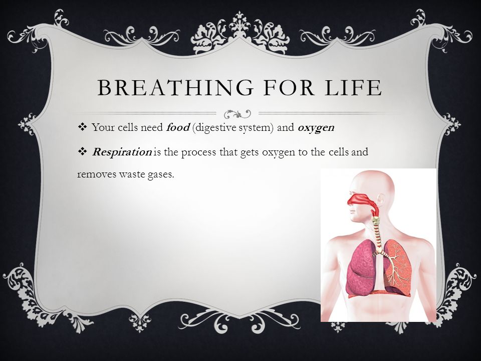  Your cells need food (digestive system) and oxygen  Respiration is the process that gets oxygen to the cells and removes waste gases.