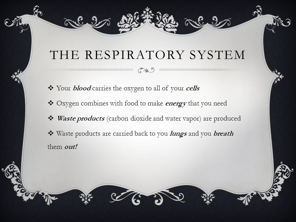 THE RESPIRATORY SYSTEM  Your blood carries the oxygen to all of your cells  Oxygen combines with food to make energy that you need  Waste products (carbon dioxide and water vapor) are produced  Waste products are carried back to you lungs and you breath them out!