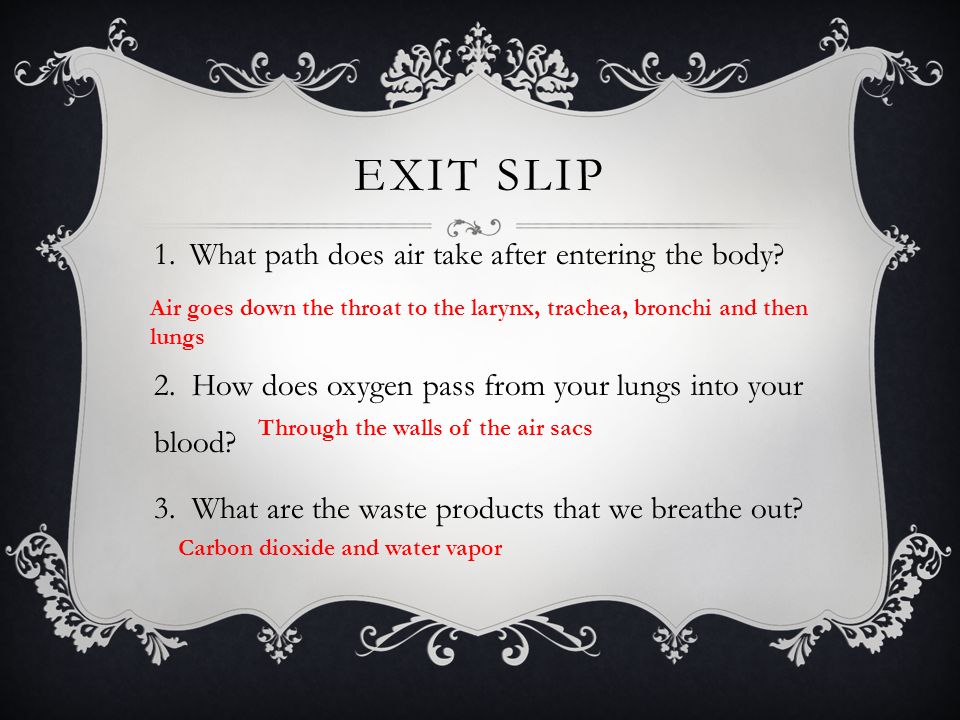 EXIT SLIP 1.What path does air take after entering the body.