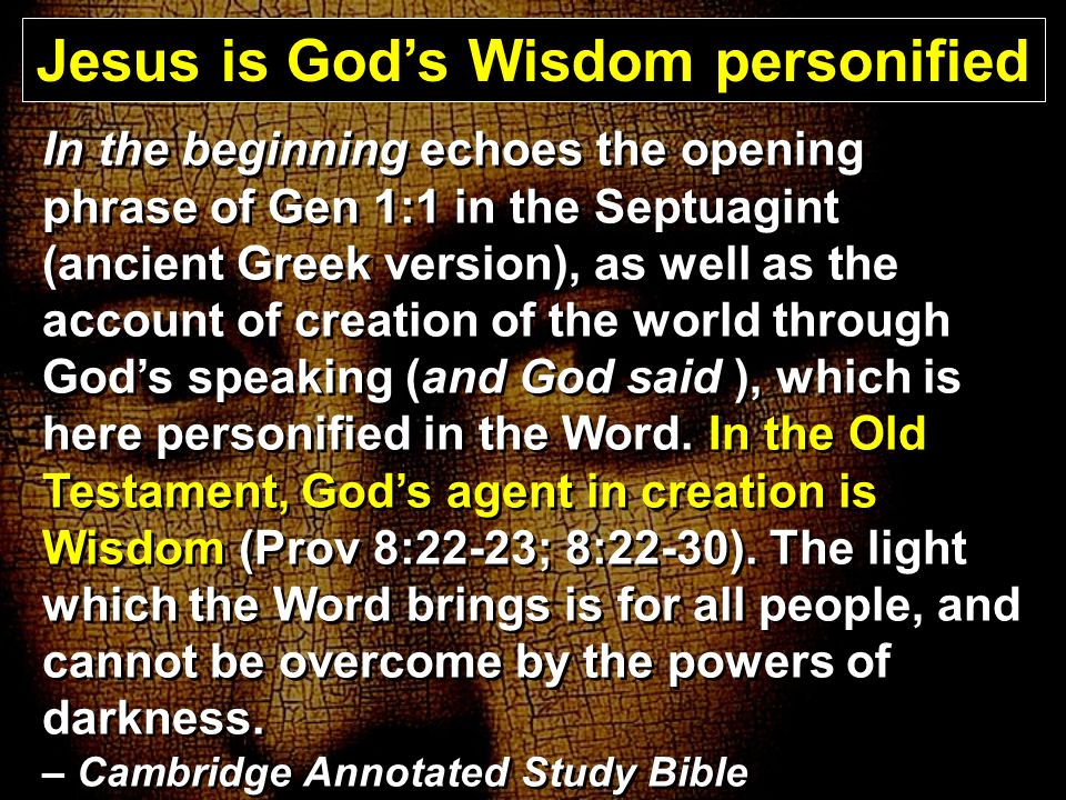 In the beginning echoes the opening phrase of Gen 1:1 in the Septuagint (ancient Greek version), as well as the account of creation of the world through God’s speaking (and God said ), which is here personified in the Word.