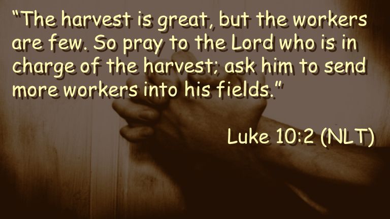 The harvest is great, but the workers are few.