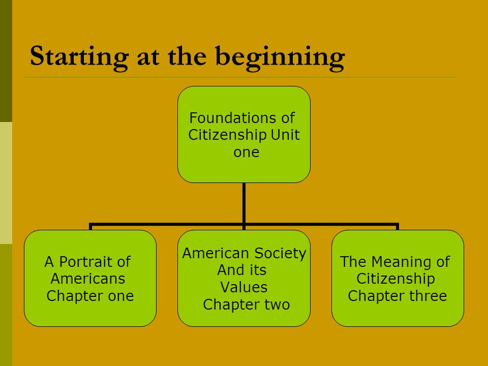Starting at the beginning Foundations of Citizenship Unit one A Portrait of Americans Chapter one American Society And its Values Chapter two The Meaning of Citizenship Chapter three