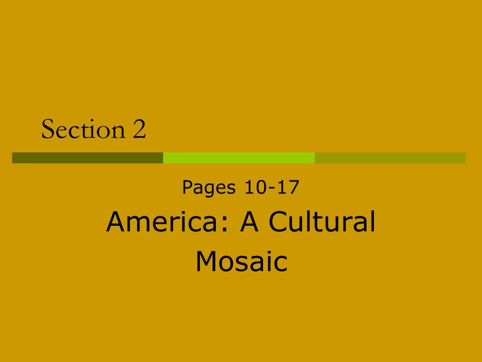 Section 2 Pages America: A Cultural Mosaic