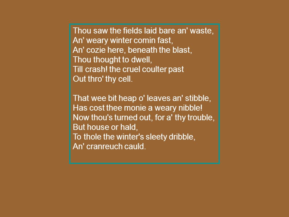 to a mouse by robert burns theme