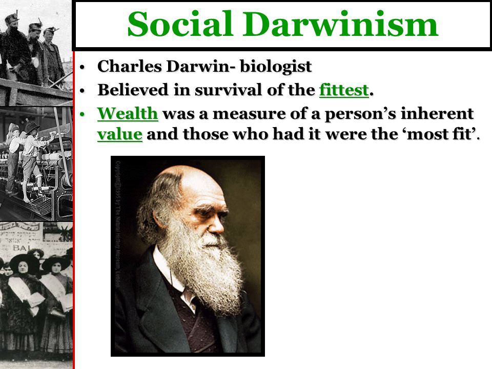 Social Darwinism Charles Darwin- biologistCharles Darwin- biologist Believed in survival of the fittest.Believed in survival of the fittest.