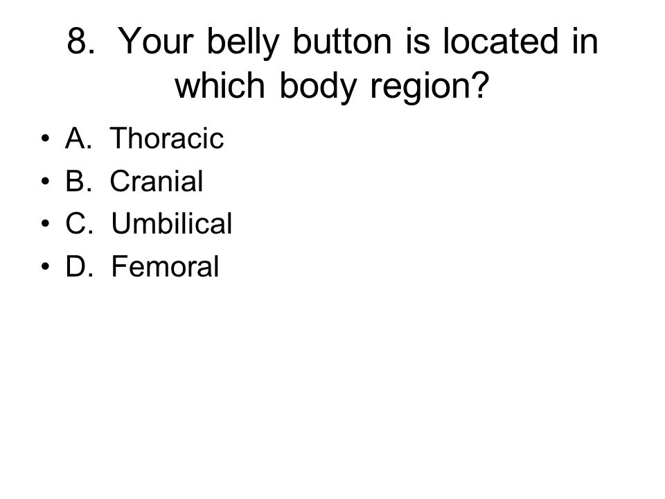8. Your belly button is located in which body region.
