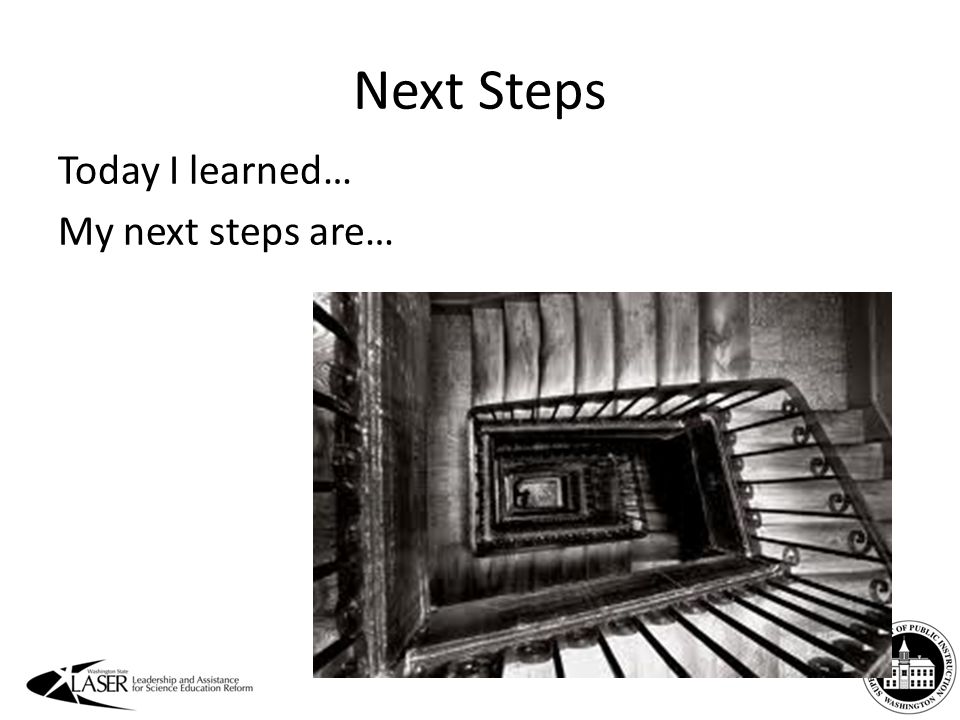 Next Steps Today I learned… My next steps are…