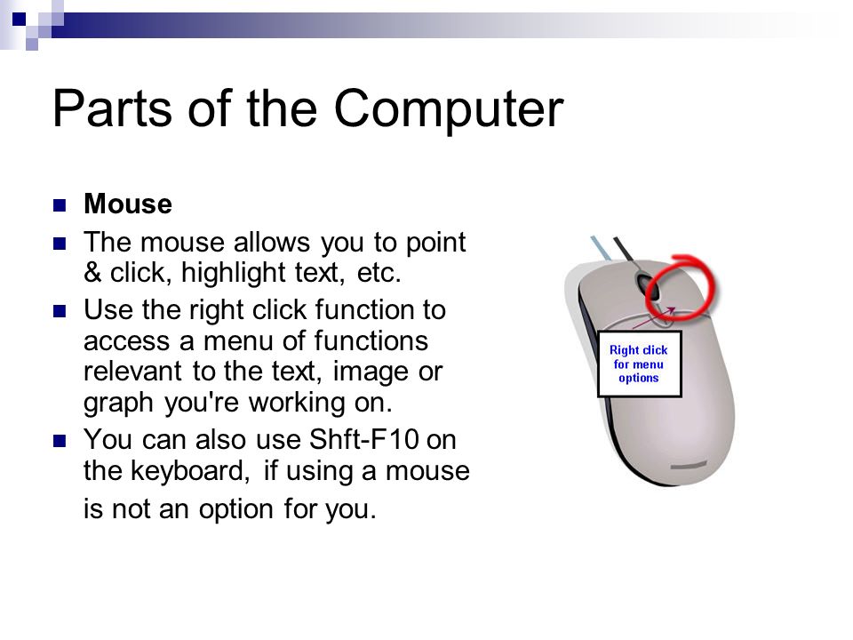 Device tasks. The Computer Mouse первая. What is a Mouse. First Computer Mouse. Computer Parts.