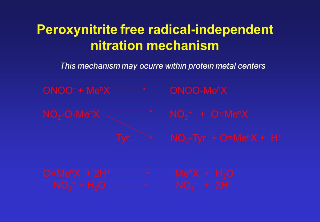 Protein 3-Nitrotyrosine: Formation, Evaluation and Biological Consequences  Dr. José M. Souza Departamento de Bioquímica Centro de Radicales Libres  Facultad. - ppt download