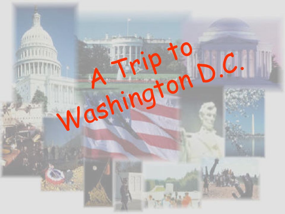 A Trip to Washington D.C.