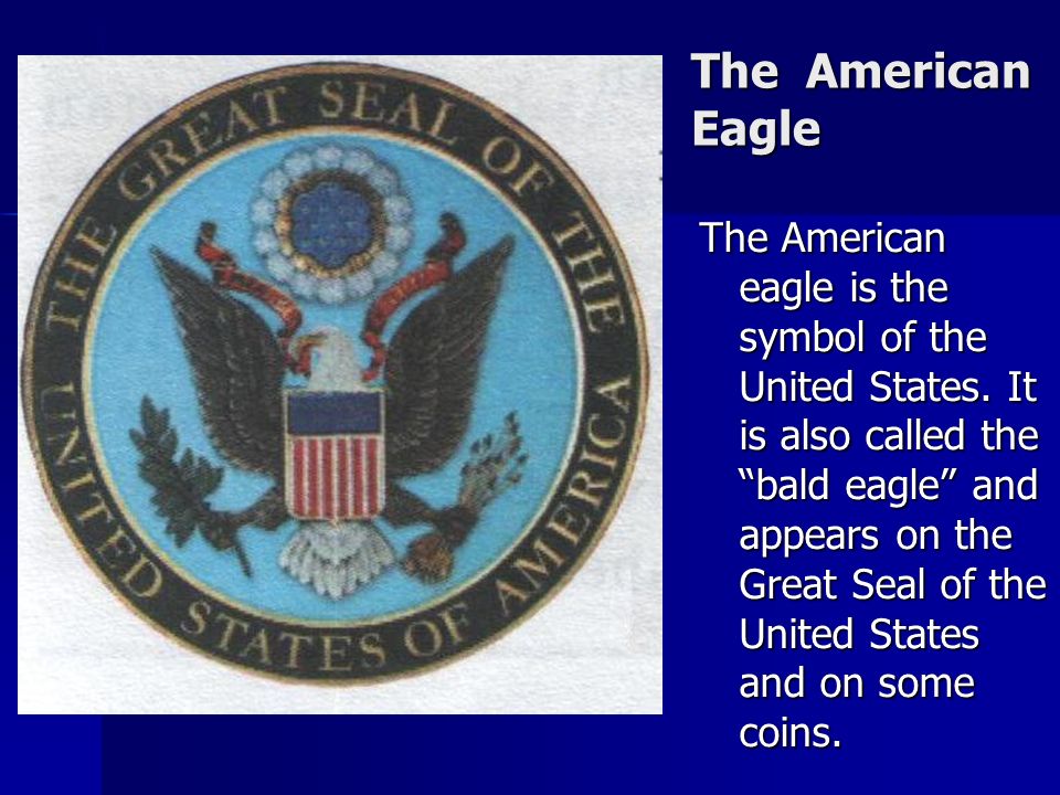 The American Eagle The American eagle is the symbol of the United States.