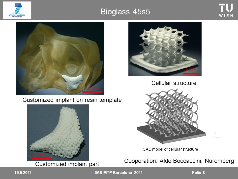 Cellular structure Customized implant on resin template Customized implant part CAD model of cellular structure Bioglass 45s5 Cooperation: Aldo Boccaccini, Nuremberg IMS MTP Barcelona 2011Folie 8