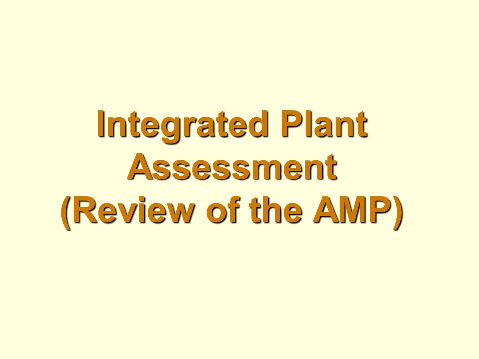Integrated Plant Assessment (Review of the AMP)