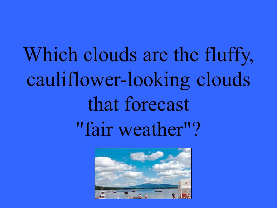 Which clouds are the fluffy, cauliflower-looking clouds that forecast fair weather