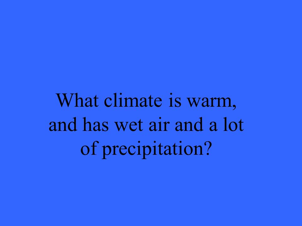 What climate is warm, and has wet air and a lot of precipitation