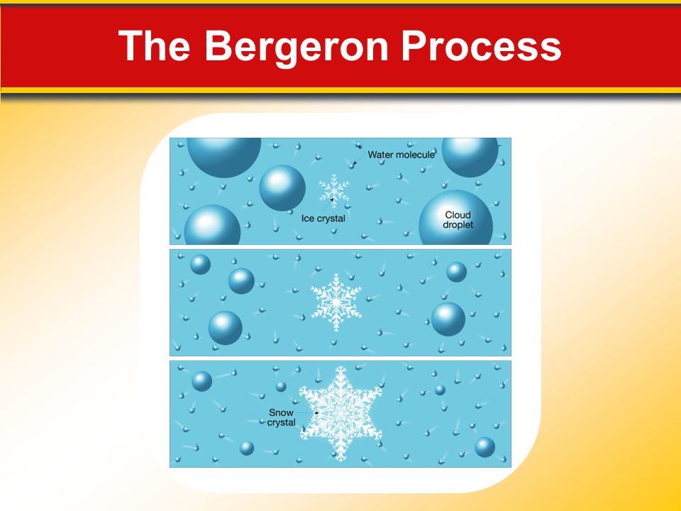 The Bergeron Process