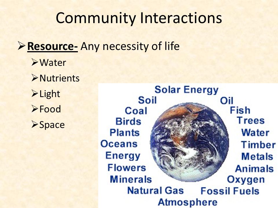Community Interactions  Resource- Any necessity of life  Water  Nutrients  Light  Food  Space