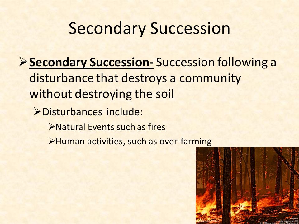 Secondary Succession  Secondary Succession- Succession following a disturbance that destroys a community without destroying the soil  Disturbances include:  Natural Events such as fires  Human activities, such as over-farming