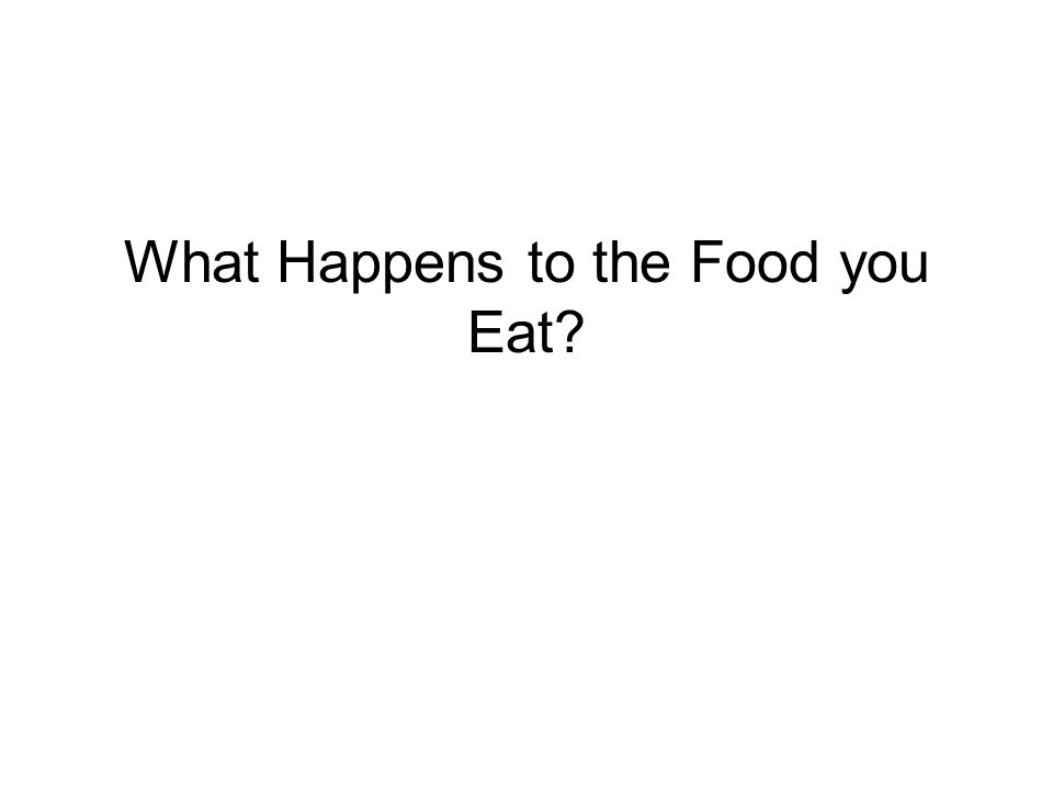 What Happens to the Food you Eat