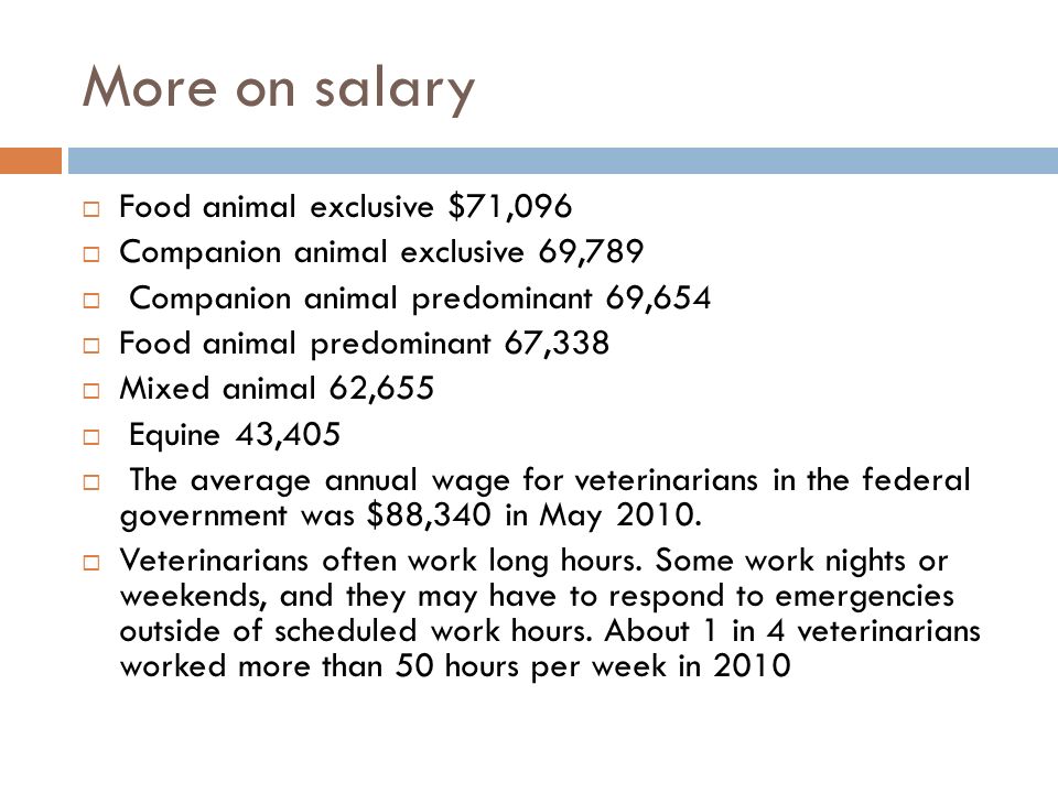 More on salary  Food animal exclusive $71,096  Companion animal exclusive 69,789  Companion animal predominant 69,654  Food animal predominant 67,338  Mixed animal 62,655  Equine 43,405  The average annual wage for veterinarians in the federal government was $88,340 in May 2010.