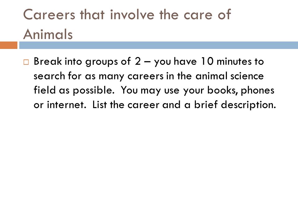 Careers that involve the care of Animals  Break into groups of 2 – you have 10 minutes to search for as many careers in the animal science field as possible.