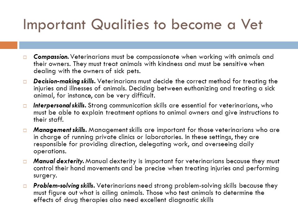 Important Qualities to become a Vet  Compassion.