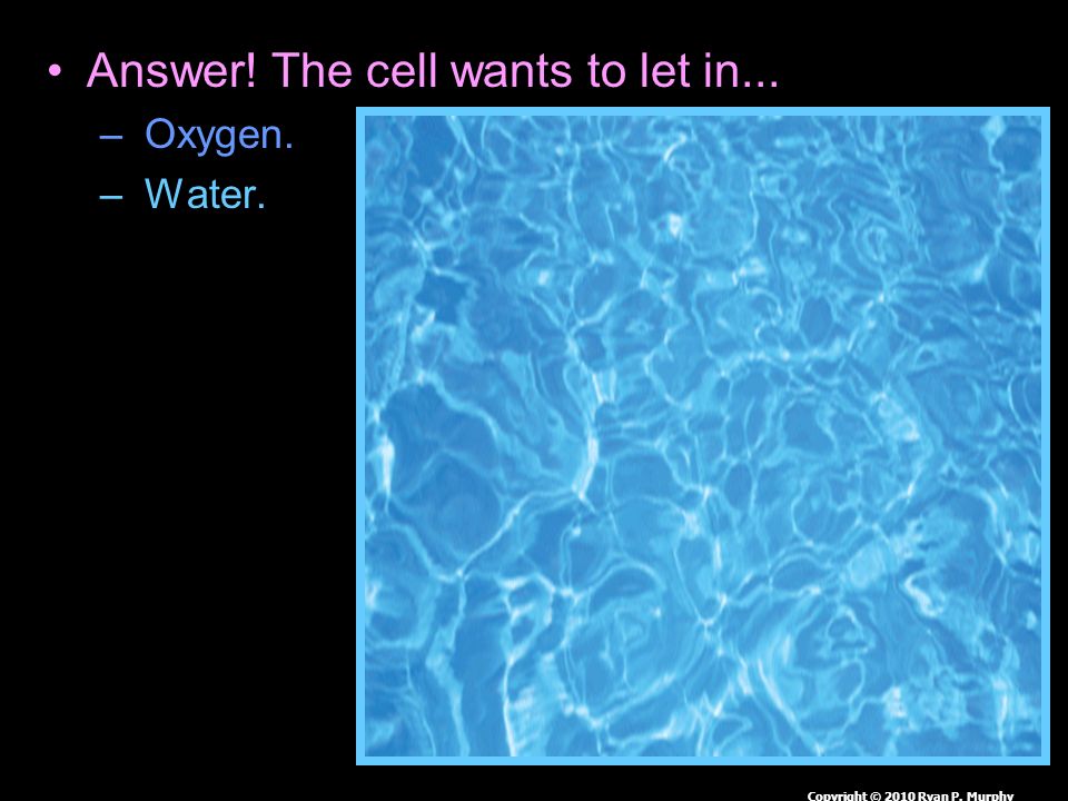 Answer. The cell wants to let in... – Oxygen. – Water.