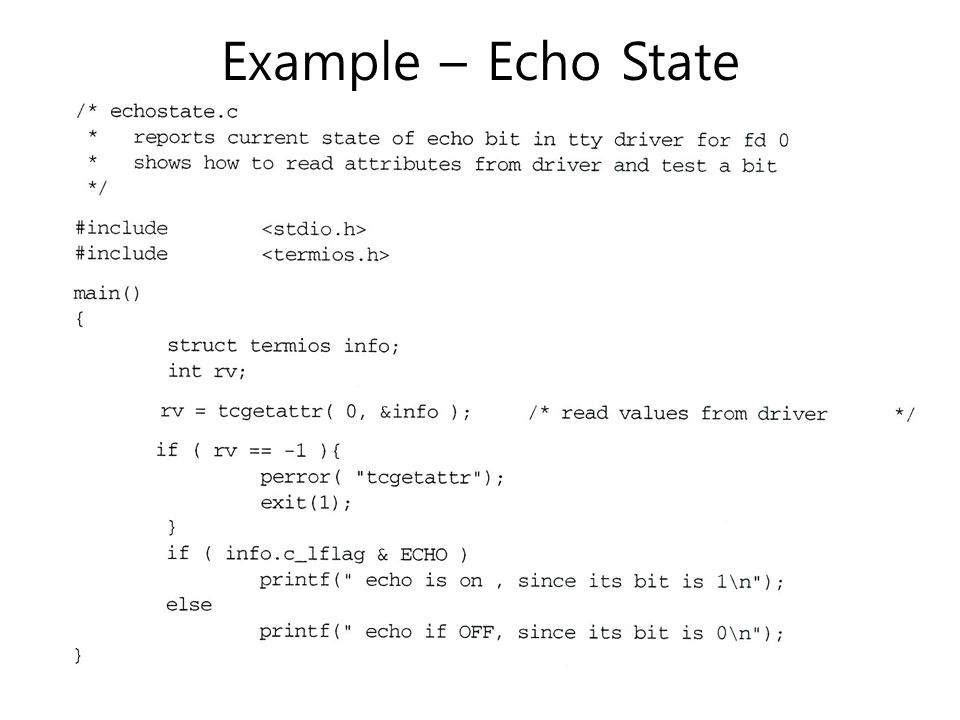 Example – Echo State