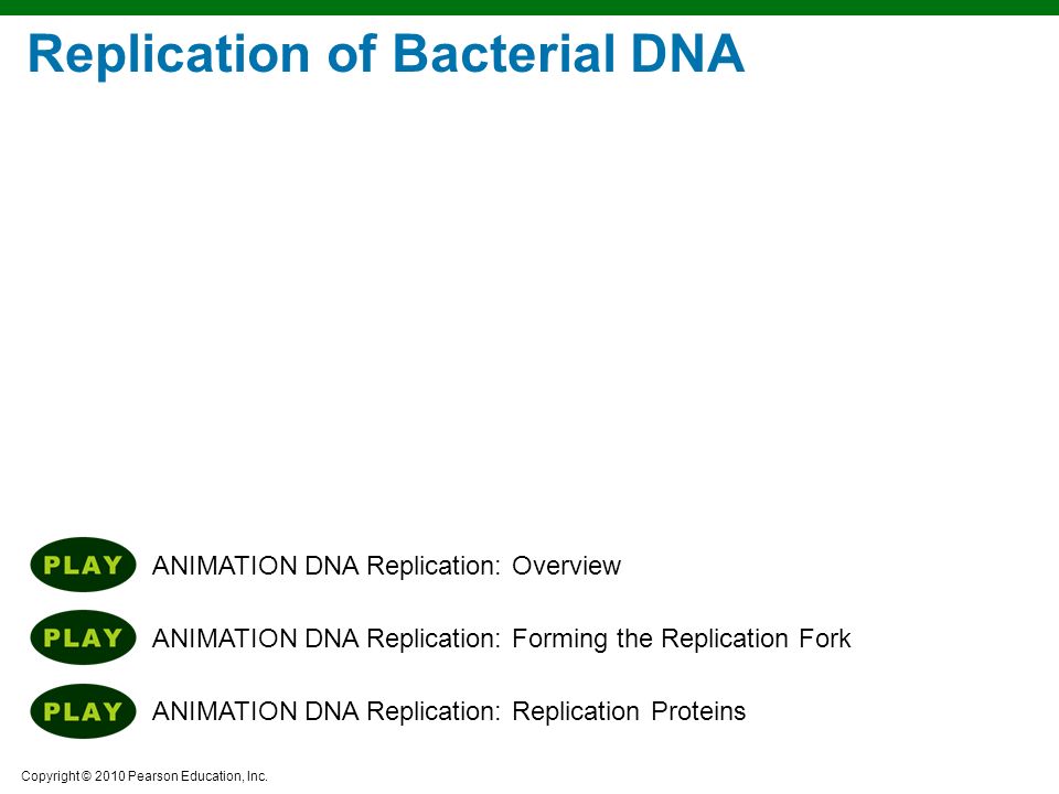 Copyright © 2010 Pearson Education, Inc. Lectures prepared by Christine L.  Case Chapter 8 Microbial Genetics. - ppt download