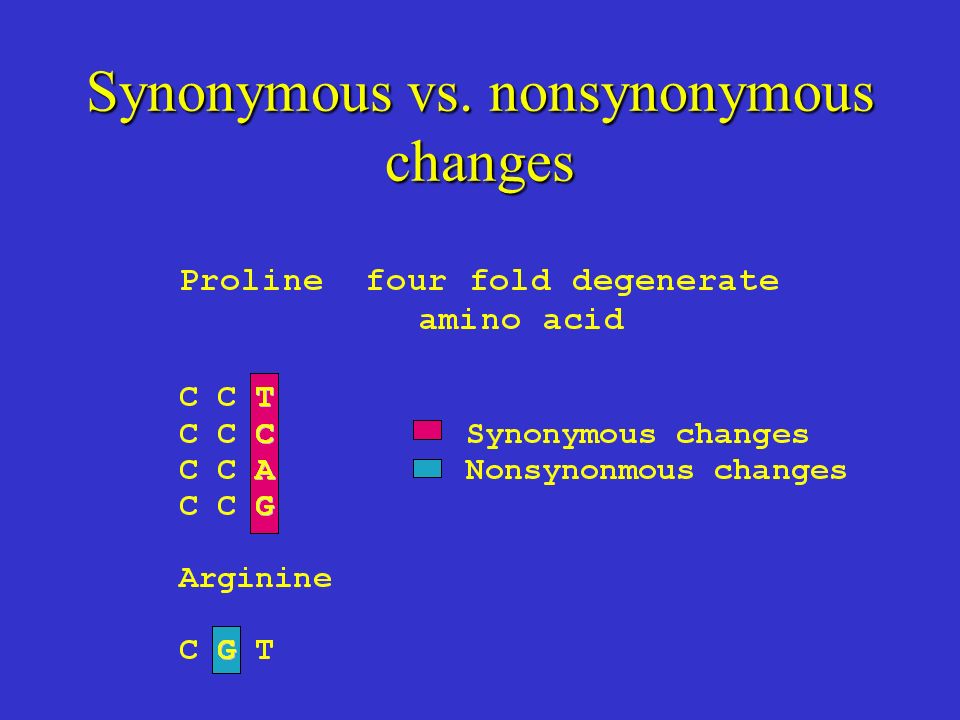 Synonymous vs. nonsynonymous changes