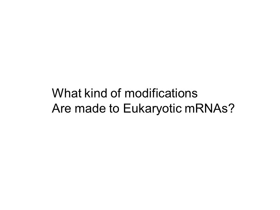 What kind of modifications Are made to Eukaryotic mRNAs
