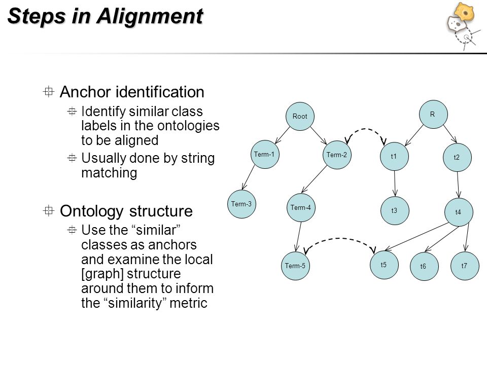 Steps in Alignment  Anchor identification  Identify similar class labels in the ontologies to be aligned  Usually done by string matching  Ontology structure  Use the similar classes as anchors and examine the local [graph] structure around them to inform the similarity metric Root Term-1 Term-2 Term-3 Term-4 Term-5 R t1 t2 t4 t5 t6 t7 t3