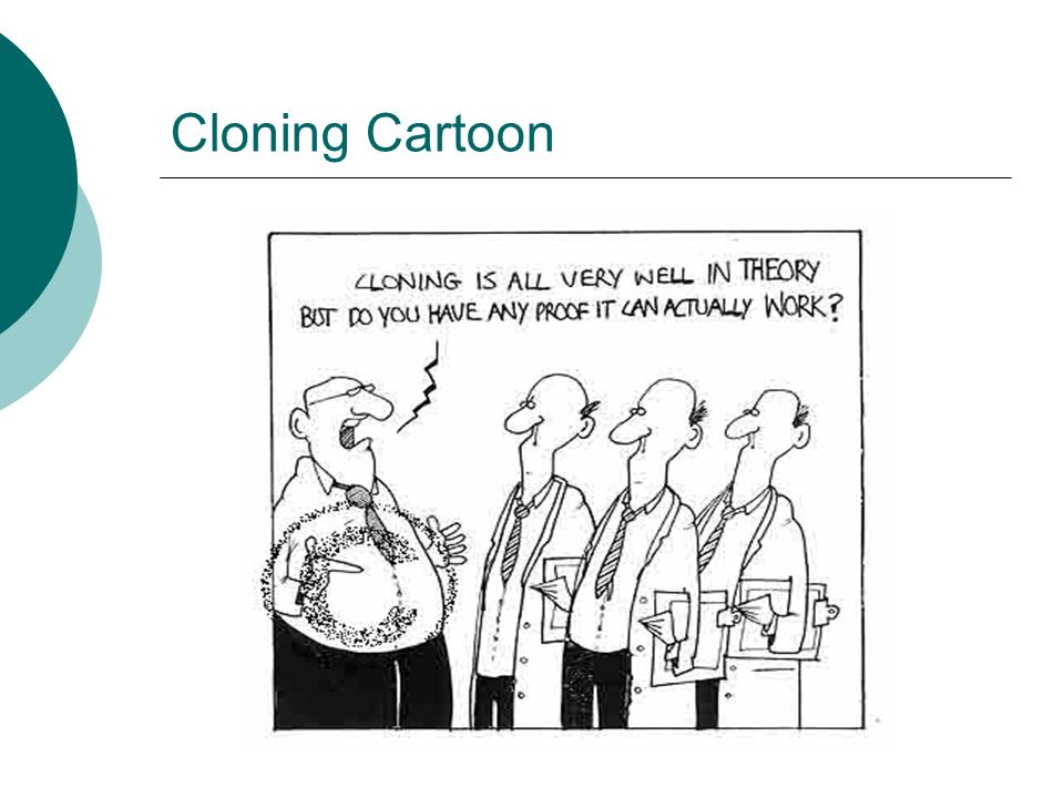 Cloning Cartoon