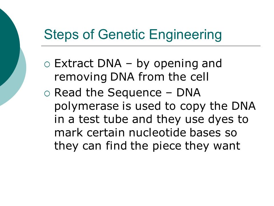 Steps of Genetic Engineering  Extract DNA – by opening and removing DNA from the cell  Read the Sequence – DNA polymerase is used to copy the DNA in a test tube and they use dyes to mark certain nucleotide bases so they can find the piece they want
