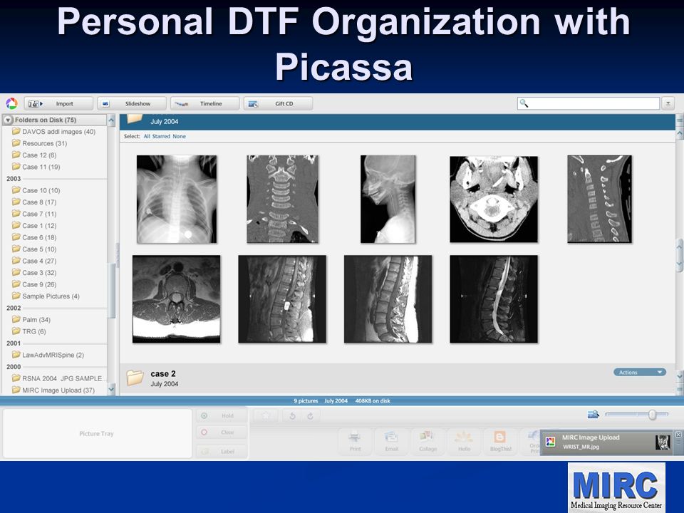 Personal DTF Organization with Picassa