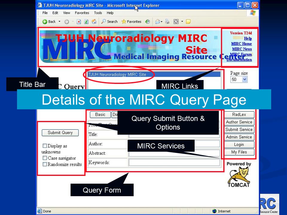 Title Bar MIRC Links List of Accessible MIRC Indexes Query Form Query Submit Button & Options MIRC Services Details of the MIRC Query Page