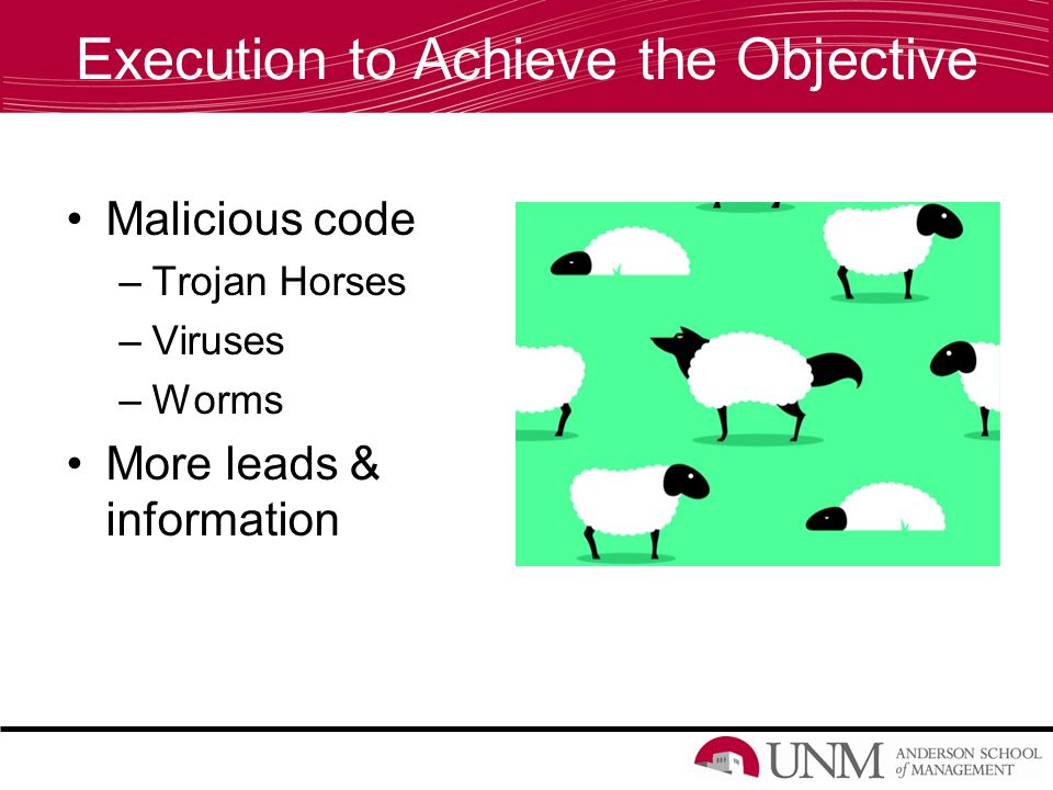 Execution to Achieve the Objective Malicious code –Trojan Horses –Viruses –Worms More leads & information