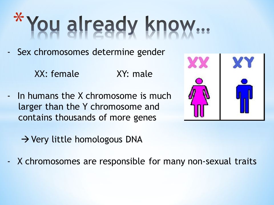 the x and y chromosomes determine sex Breast milk go bad